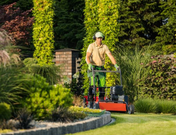 palatine lawn glastonbury ct lawn care landscaper lawnmower grass seeding aeration insect control